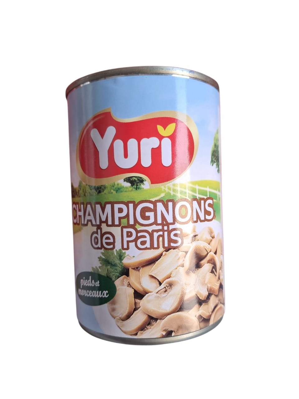 yuri champignons 400g*12